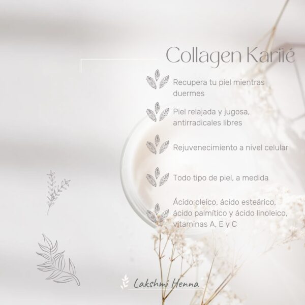 Facial de noche Collagen 22-09