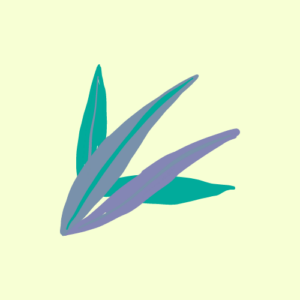 Plantas Ayurvédicas